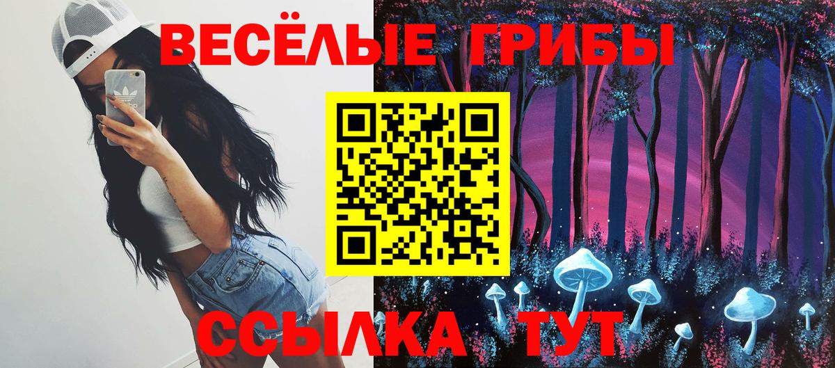 Псилоцибиновые грибы Psilocybe Тихвин